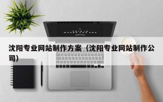 南平沈阳专业网站制作方案（沈阳专业网站制作公司）